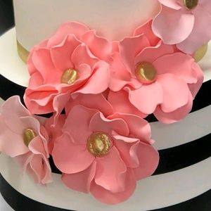 Meet your Posher, Aura